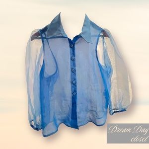 Zara Sheer Blue Blouse